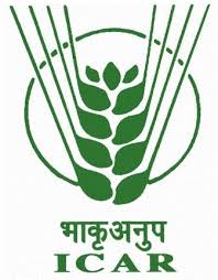 ICAR Logo